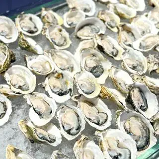 Hình ảnh Hàu