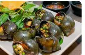 Hình ảnh Ốc bưu