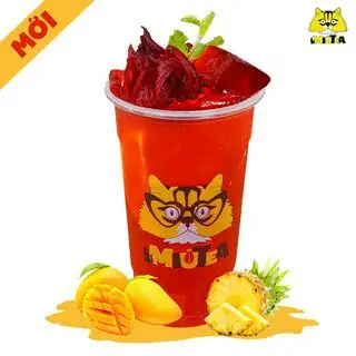 Hình ảnh Hibicus Xoài Thơm - Size L