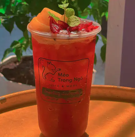 Hình ảnh Mèo Trong Ngõ - Nguyễn Bỉnh Khiêm