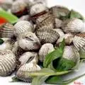 Hình ảnh Sò huyết nướng mọi