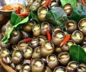 Hình ảnh Ốc bươu hấp sả