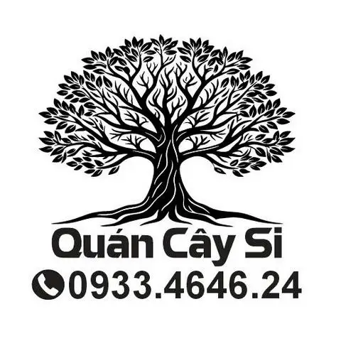 Hình ảnh Cà Phê Cây Si - Huỳnh Tấn Phát