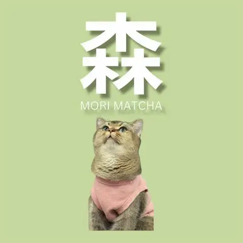 Hình ảnh Mori Matcha - Matcha Latte - Trung Kính