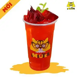 Hình ảnh Hibiscus Xoài Thơm Dâu Tây - Size L