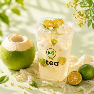 Hình ảnh Dừa Kim Quất