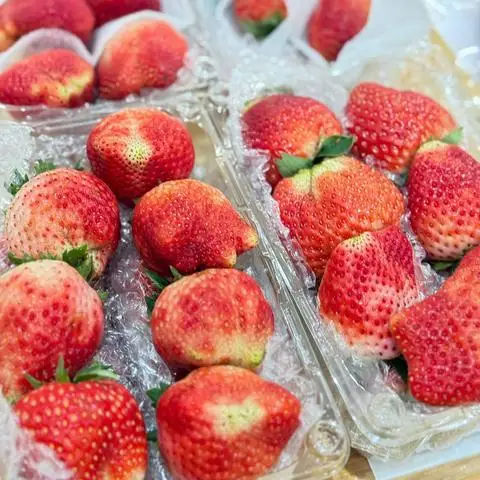 Hình ảnh Mart Nhập Khẩu - Tứ Liên
