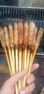 Hình ảnh Nem lụi