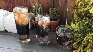 Hình ảnh Trà bí đao hạt chia