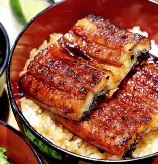 Hình ảnh COMBO 2: tô cơm lươn Nhật Bản