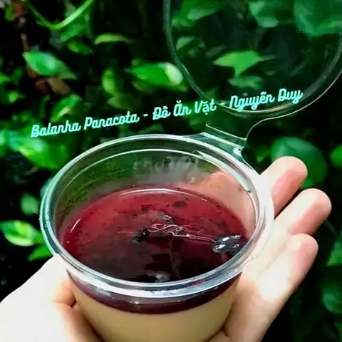 Balanha Panna Cotta - Đồ Ăn Vặt - Nguyễn Duy - Tráng miệng gần bạn