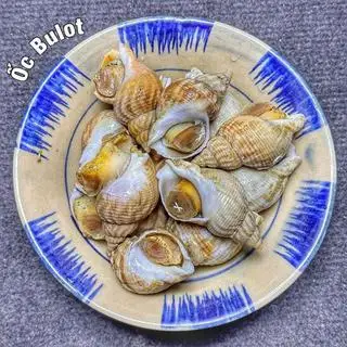 Hình ảnh Ốc bulot hấp