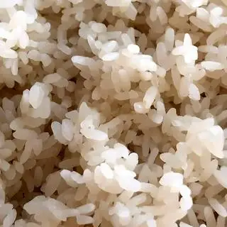 Hình ảnh Xôi trắng