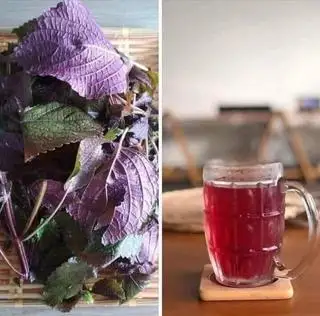 Nước tía tô chanh đường phèn - 15.000 ₫ tại Ghiền Bún Chả - Bún Chả Hà Nội - Đỗ Xuân Hợp