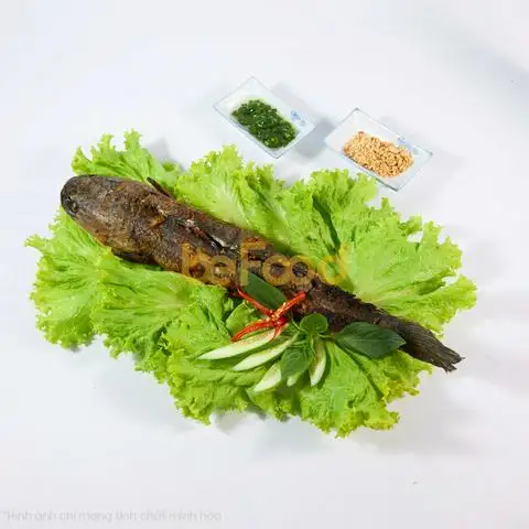 Hình ảnh Cá Lóc Nướng A Mười - 14 Vĩnh Khánh