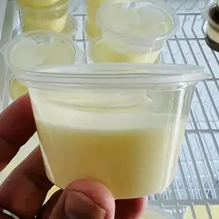 Hình ảnh Rau câu phô mai thạch dừa - size 100ml