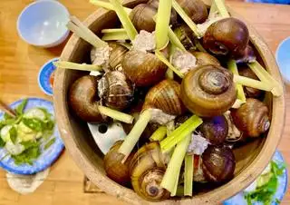 Hình ảnh Ốc nhồi Đà Lạt 5 con