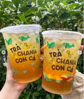 Hình ảnh Trà Tắc Con Cá Siêu To Khổng Lồ