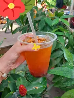 Đá me - 35.000 ₫ tại Hồng Hồng - Milk Tea & Coffee - Phạm Phú Thứ