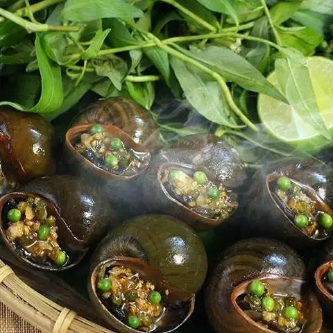 Ốc Oanh - Trần Khắc Chân - Ốc/Cá/Hải sản gần bạn