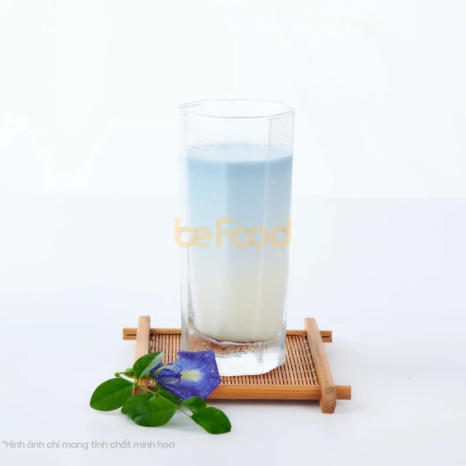 Hình ảnh Đậu biếc an yên