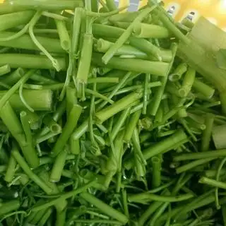 Rau thêm - 7.000 ₫ tại Nhà Hàng Gàu Vàng - Bún Thái Kiểu HongKong, Tacos & Pizza - Chung Cư Ấn Quang