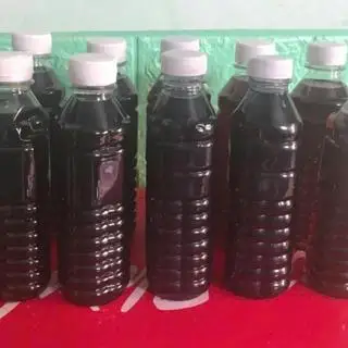 Hình ảnh Sâm lạnh