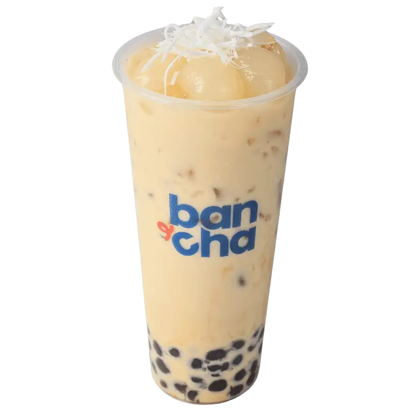 Hình ảnh Nhài nhãn dừa (M)