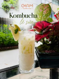 Hình ảnh Kombucha lê sữa