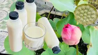 Hình ảnh Sữa hạt sen
