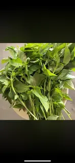 Hình ảnh rau é thêm