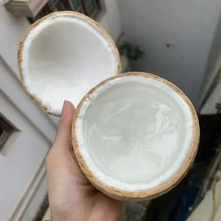 Hình ảnh 1 quả dừa xiêm trọc