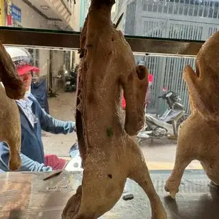Hình ảnh nữa con vịt