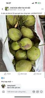 Hình ảnh Dừa Quả 