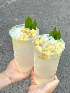Hình ảnh Sen dừa lạnh