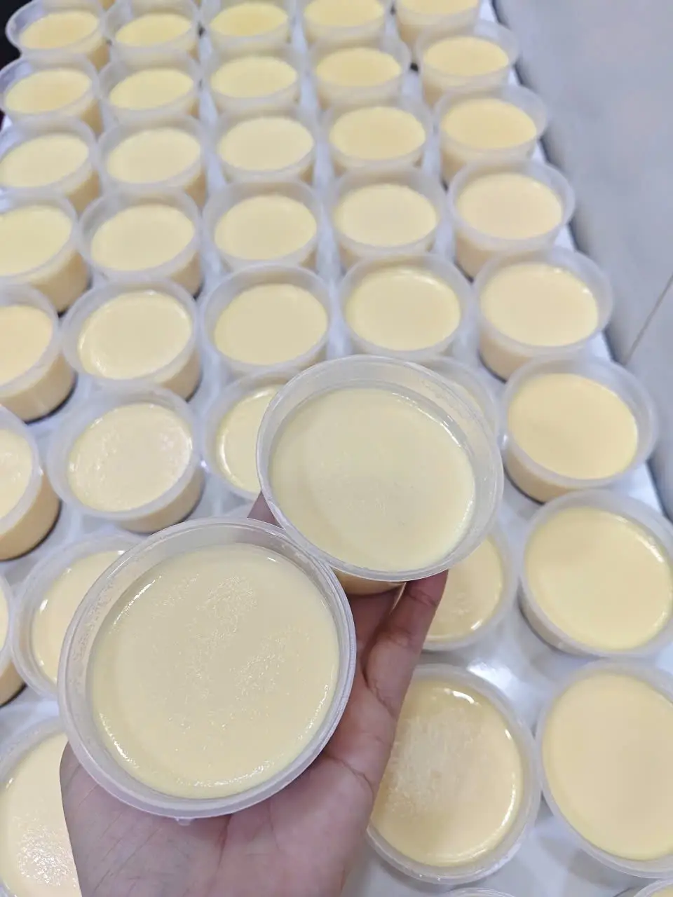 Hình ảnh Bánh  flan
