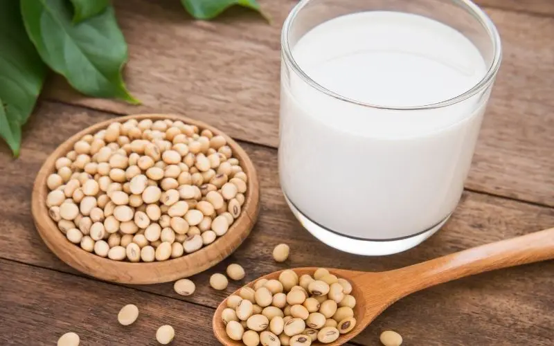 Hình ảnh Sữa Đậu Nành (1 Cốc - Đã Có Đường)