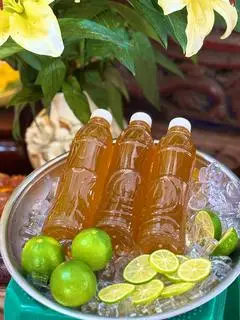 Hình ảnh Chai cốt trà chanh 500ml