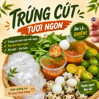 Hình ảnh TRỨNG CÚT
