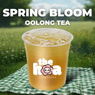 Hình ảnh Trà Oolong Hoa Xuân