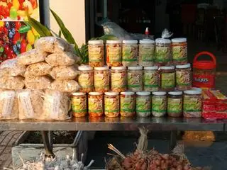 Hình ảnh KIỆU HUẾ