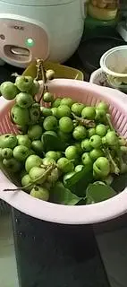 Hình ảnh sung muối xã tắc (sỏi)
