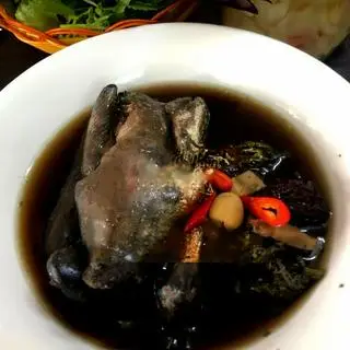 Hình ảnh Gà Ác Tần Thuốc Bắc
