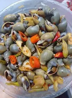 Hình ảnh ốc cà na xào bơ tỏi