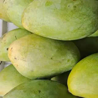 Hình ảnh Xoài  keo 1 kg 
