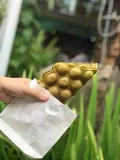 Hình ảnh Bánh trứng vị trà xanh nhân phô mai