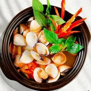 Hình ảnh nghêu hấp thái