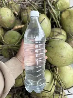 Hình ảnh Nước dừa đóng chai (1lit)