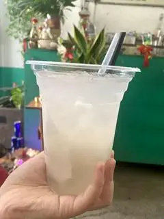 Hình ảnh DỪA TẮC - Size Khổng Lồ