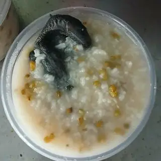 Hình ảnh Cháo Gà Ác đậu xanh 